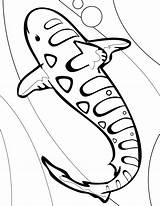 Shark Whale Coloring Pages Nurse Blue Printable Color Getcolorings Revolutionary Now Getdrawings Unique Colorings Print sketch template