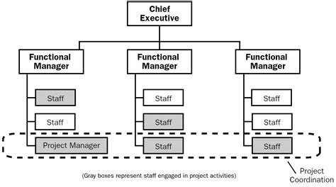 balanced matrix organizational structure