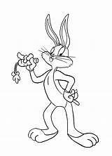 Bugs Pernalonga Bunny Colorir Cenoura Comendo Desenhos Colorironline Dexter sketch template
