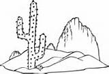 Cactus Coloring Saguaro Pages Wren Blossom Arizona Bird Flower State sketch template