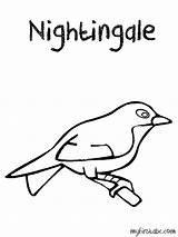 Nightingale Coloring Designlooter sketch template