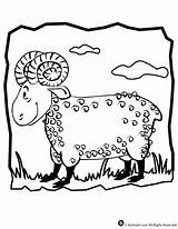 Ram Coloring Pages Animal Kids Bible Classroomjr sketch template
