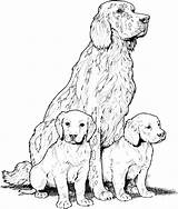 Coloring Pages Dog Adults Kids sketch template
