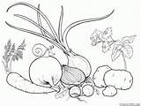 Coloring Garden Vegetables Pages Colorkid sketch template