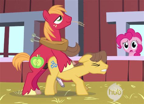 rule 34 anal anal sex animated barn big macintosh mlp blue eyes