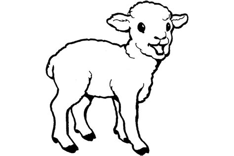 goat coloring pages clipart
