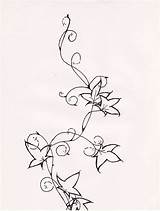 Ivy Tattoo Vine Designs Drawing Drawings Poison Tattoos Deviantart Line Flower Plant Vines Stencil Hiedra Getdrawings Tatoos Body Hawaiian Draw sketch template