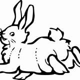 Hopping Bunny Coloring Pages Everywhere Falling After sketch template
