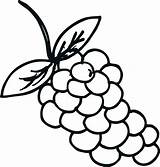 Grapes Anggur Mewarnai Buah Uva Grape Kolase Colorir Marimewarnai Kartun Buahan Fruit Paud Koleksi Bestcoloringpagesforkids Participar Costura Recomendamos Quer Pineapple sketch template