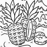 Island Coloring Pages Tropical Drawing Getdrawings Rainforest Animals Getcolorings sketch template