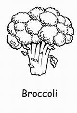 Broccoli Vegetable Frutas Verduras Brokkoli Fruits Bestcoloringpagesforkids Cauliflower Mewarnai Sagebrush Kidsplaycolor sketch template