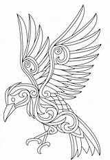 Raven Coloring Pages Outline Ravens Drawing Color Bird Printable Print Getdrawings Getcolorings sketch template