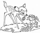 Bambi Thumper Eating Coloring Pages Printable Description sketch template