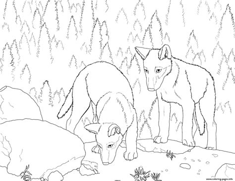 wolf  pup coloring pages printable