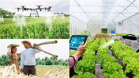 Tecnologia Na Agricultura Como A Inteligência Artificial Está Mudando