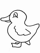 Coloring Duck Pages Animals Printable Print Ducks Kids Easily Popular sketch template