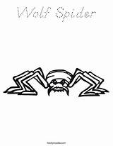 Coloring Spider Wolf Super La Araña Favorites Login Add Twistynoodle Built California Usa Noodle Arana sketch template
