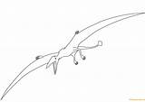 Coloring Pterodactyl Dinosaur Pages Dinosaurs Color Printable Drawing Print sketch template