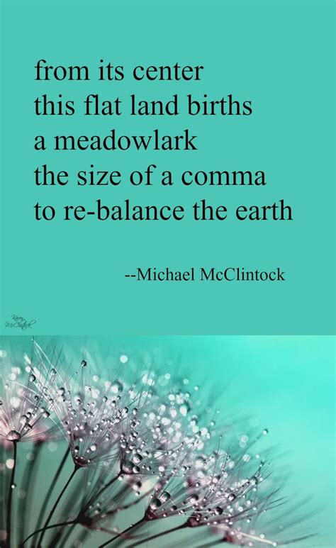 tanka poem   center  michael mcclintock kinds  poetry