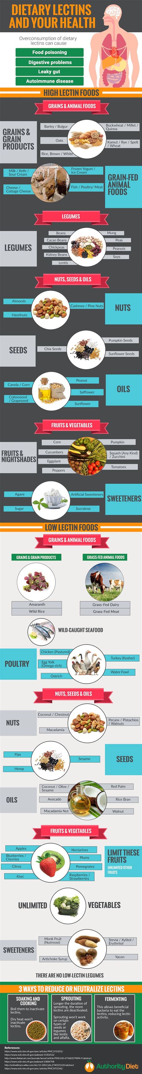 lectin  diet lectin foods infographic health