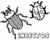 Insectos Colorear Objetos Empiezan Letra Infantiles Empiecen Imagui Disfrute Pretende Compartan Motivo sketch template