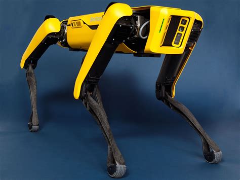 boston dynamics spot robot dog   sale ieee spectrum ieee
