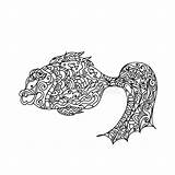 Zentangle Fish Preview Illustration sketch template