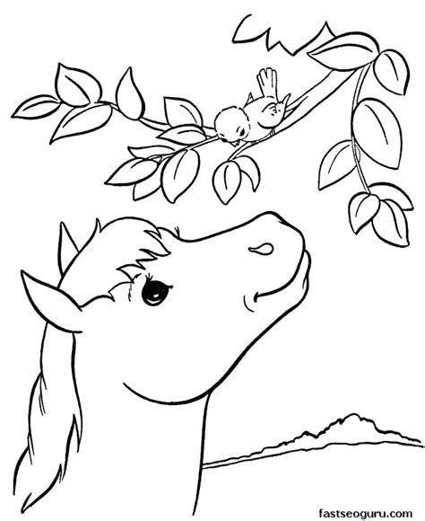 rainforest animals coloring pages  getdrawings