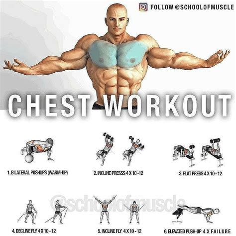 chest exercises chest workout  chest workout chest workouts