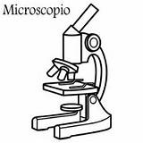 Microscope Microscopio Parts Coloring Para Colorear Worksheet Pages Template sketch template
