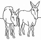 Burros Coloring Donkeys Paginas Donkey Anipedia sketch template