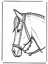 Horse Head Coloring Pages Horses Colouring Fargelegg Funnycoloring Printable Hester Animal Stronger Coloriage Cheval Print Paarden Ead Annonse Advertisement sketch template