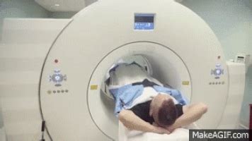 positron emission tomography gifs find share  giphy
