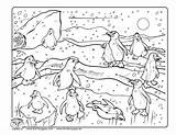 Coloring Pole North Pages Penguin Tacky Popular Cute Coloringhome Library Clipart sketch template