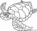 Turtle Sea Coloring Pages Turtles Printable Color Sheets Print Animals Cool sketch template