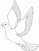 Dove Coloring Pages Color Bird Peace Animalstown Kids Printable Print Popular Clipart Sheet Outline Library Animals Coloringhome Animal Back sketch template