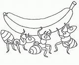 Hormigas Trabajando sketch template