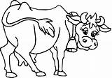 Cow Coloring Color Pages Print Printable Animals Animal Para Colorear Sheet Animales Pattern Cows Kids Colouring Imagenes Back sketch template