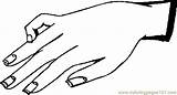 Hand Coloring Colouring Printable Clipart Colour Hands Pages Clip Cliparts Library Clipartbest 351px 04kb Drawings sketch template