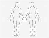 Outline Body Outlines Drawing Result Figure Pngkit sketch template