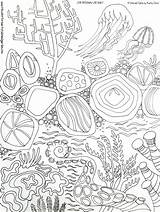 Coloring Drawn Hand Pages Sea Artist Sturr Kathy Visit Color sketch template