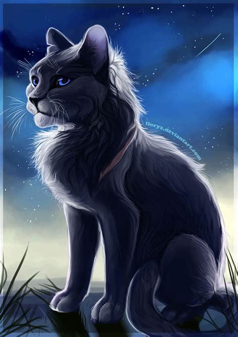 black  white cat  blue eyes sitting   grass   night sky