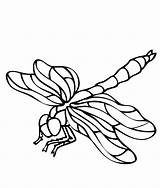 Dragonfly Coloring Pages Printable Print Dragonflies Drawing Simple Outline Animals Clipart Cartoon Color Getdrawings Cliparts Prints Template Library Kids Realistic sketch template