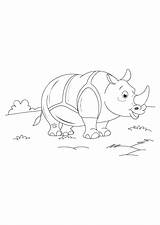 Food Chain Pages Coloring Animal Rhinoceros Worksheets Kindergarten Dodgers Baseball La Worksheeto Print Via Template sketch template