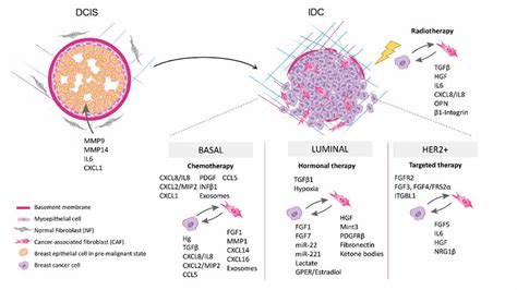 Tumor Stroma Communication In Ductal Carcinoma In Situ Dcis Lesions