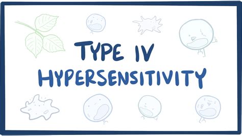 type iv hypersensitivity reaction  delayed type hypersensitivity dth  biology notes