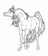 Horse Lineart Arabian Coloring Horses Pages Deviantart Draw Print Colouring Kids Templates Drawings Adult Sketch Animal Choose Board Stallion sketch template