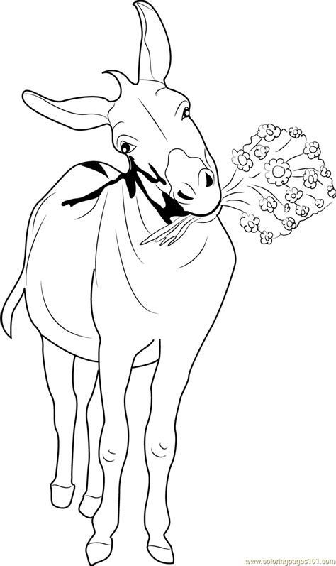 donkey  flowers coloring page  kids  donkey printable
