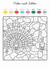 Zahlen Ausdrucken Kostenlos Ausmalen Coloring Numeros Number Pfau Pavo Ausmalbild Erwachsene Malvorlagen Crayola Magique Erstaunlich Vorschule Mandalas Familie Schule Farben sketch template