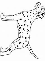 Coloring Pages Dog Dalmatian Doberman Printable Color Getcolorings Colouring Kids Dogs Printables Freewallpapers Biz sketch template